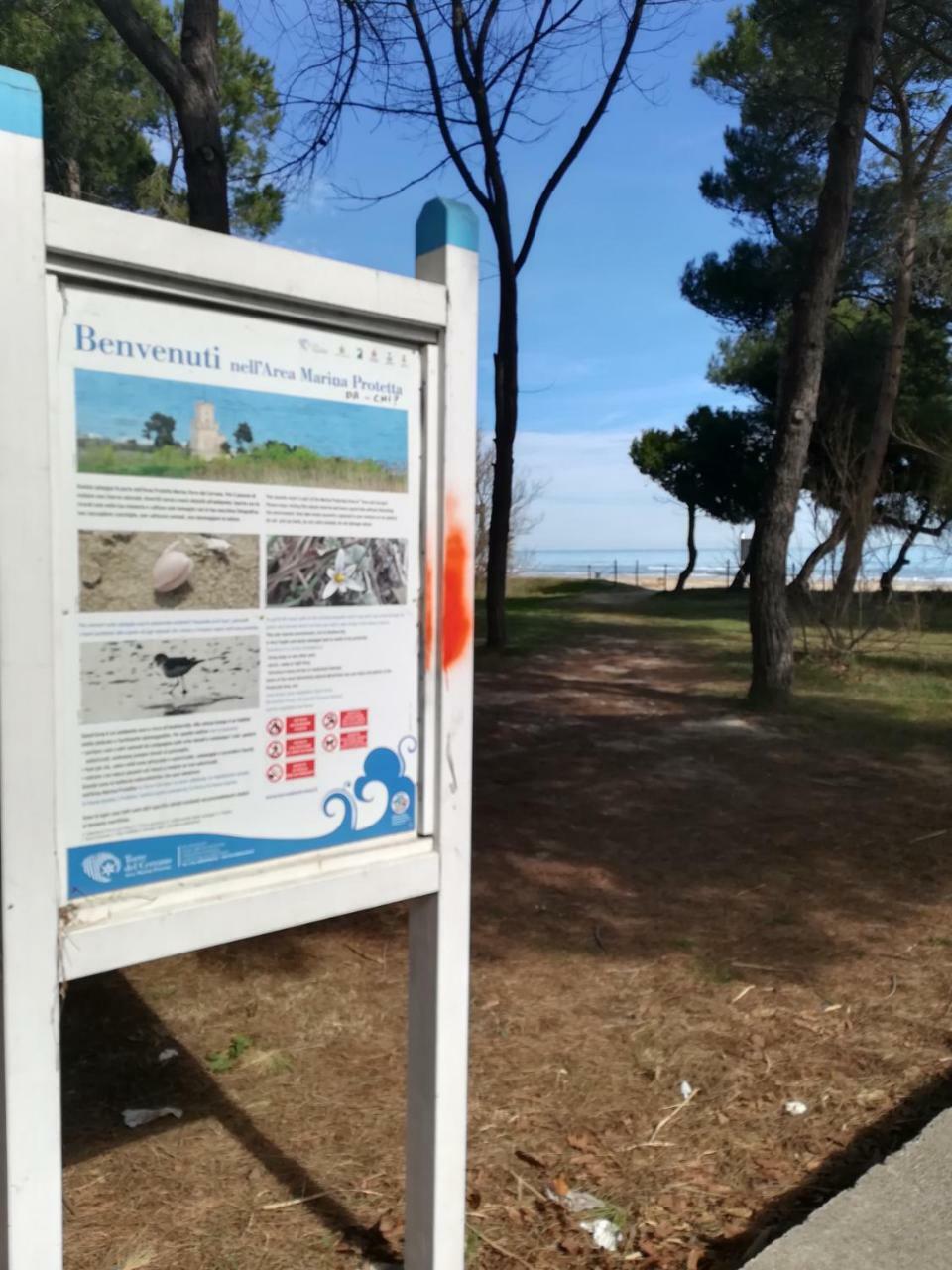 Hotel Petit Silvi Marina Exterior photo